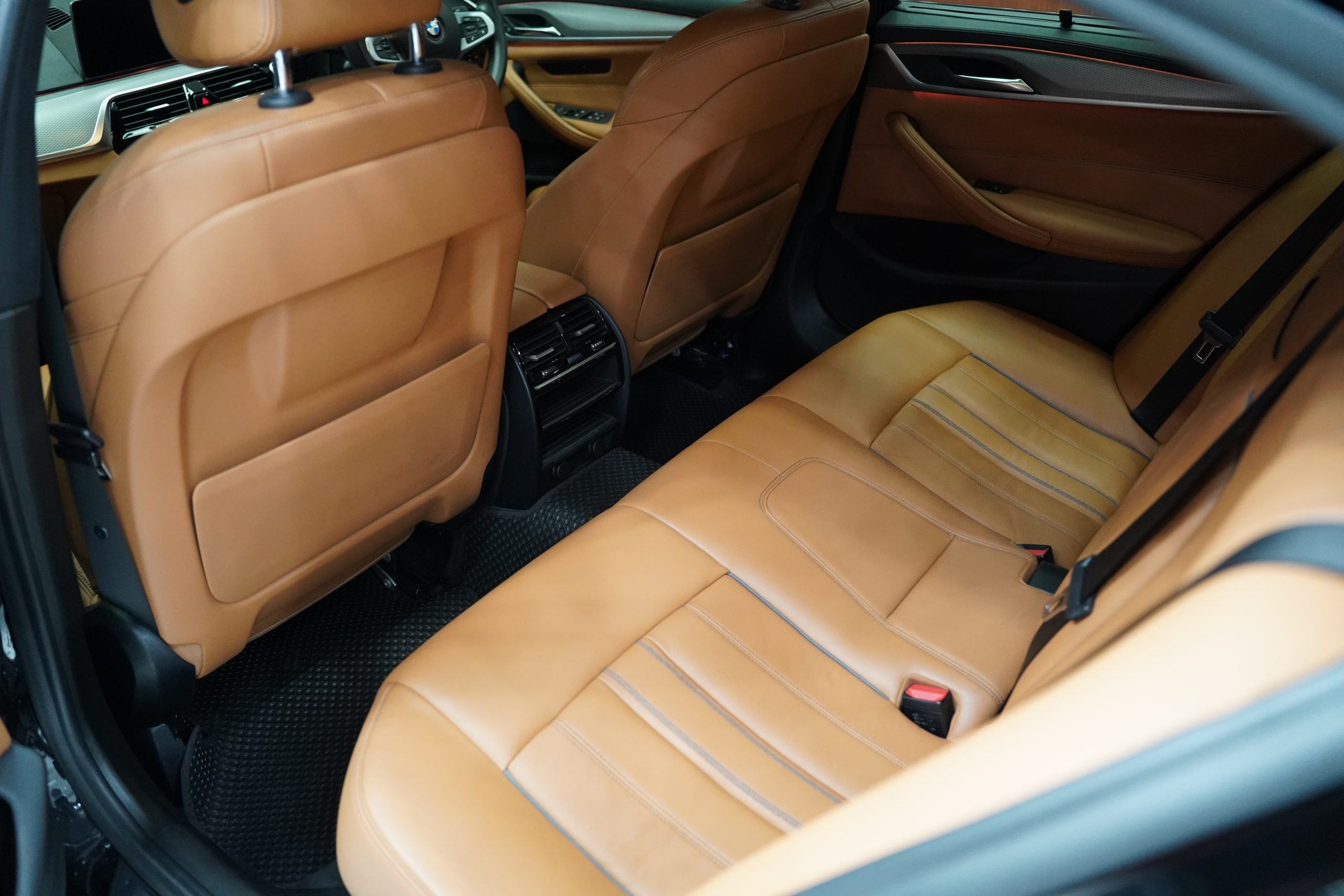 2020BMW 520d M Sport - Image 10